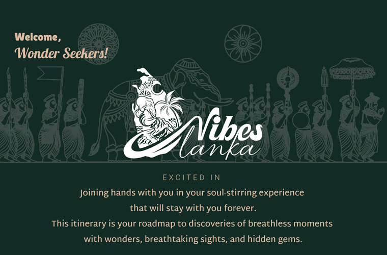 nodekidos - projects 2 - VibeslankaCRM